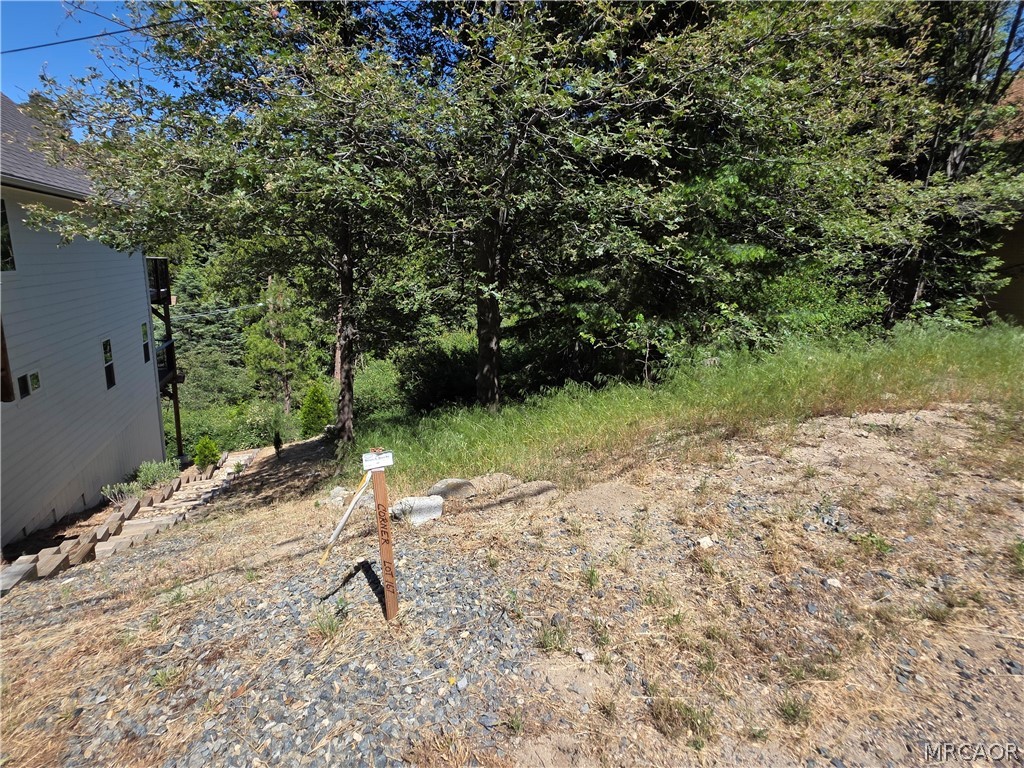 0 Shenandoah Drive Property Photo 10