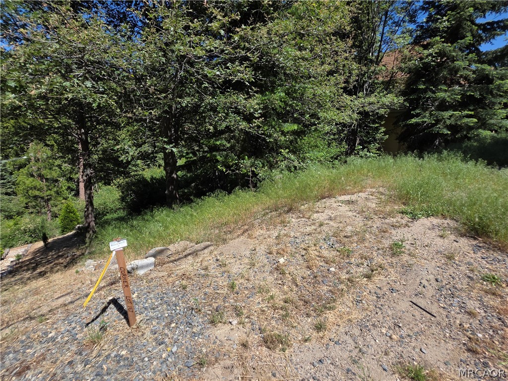 0 Shenandoah Drive Property Photo 11