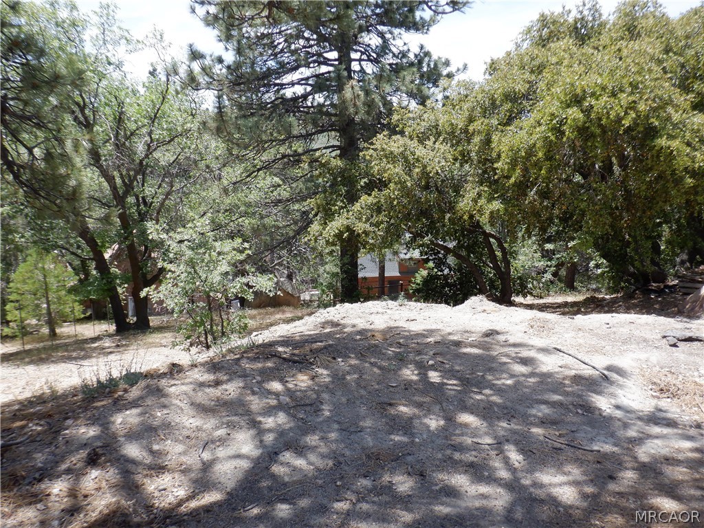 0 Holcomb Creek Drive Property Photo 1