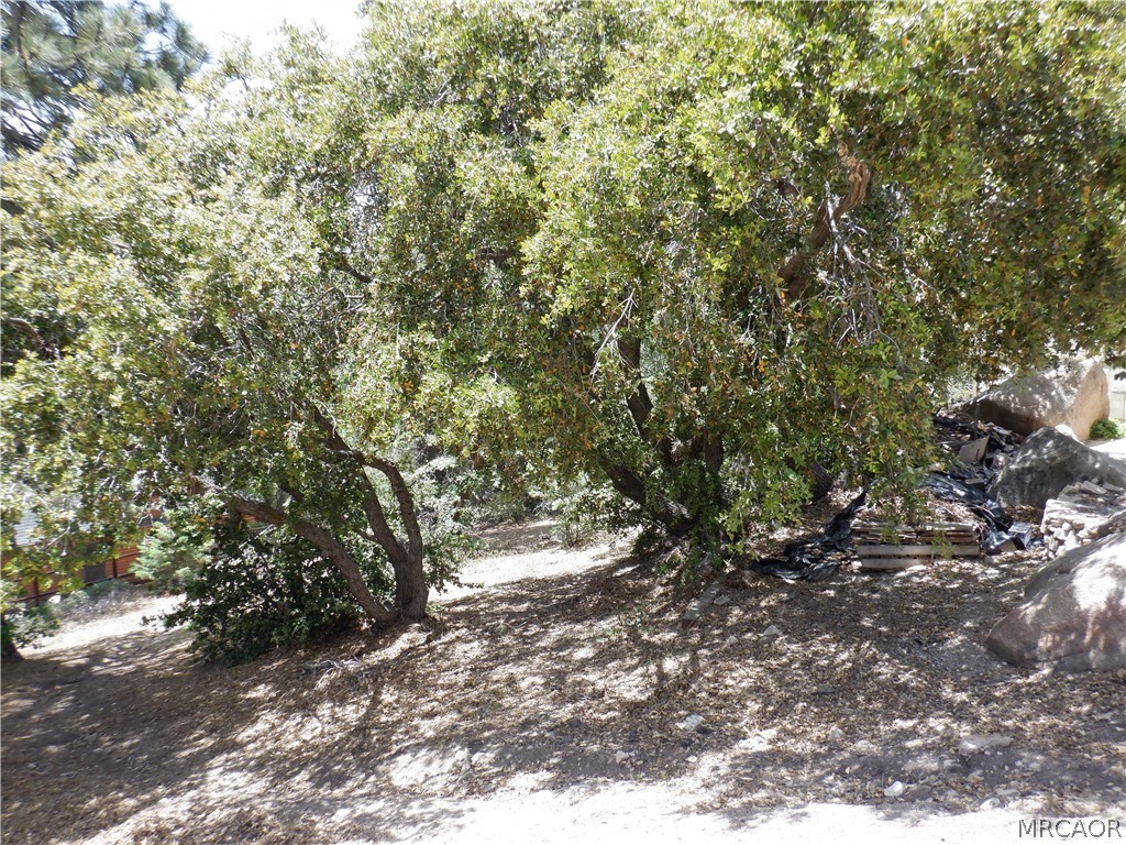 0 Holcomb Creek Drive Property Photo 2