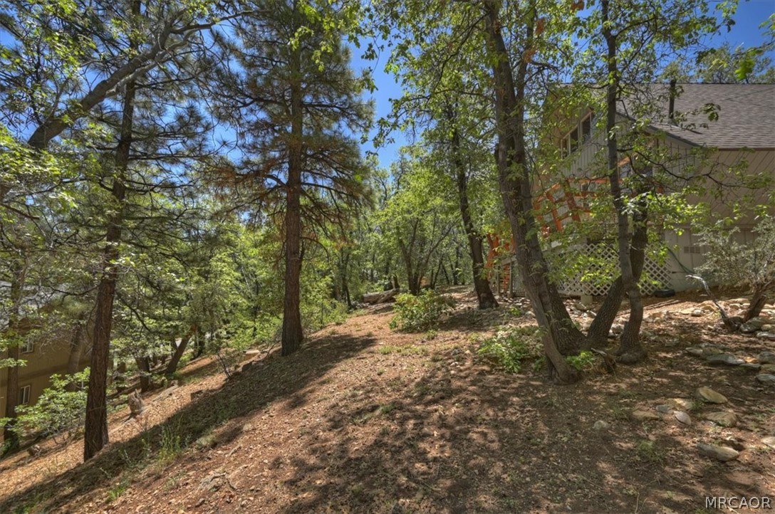 1710 Canyon Crest Drive Property Photo 28
