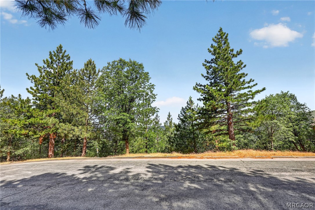 30308 Leprechaun Drive Property Photo 1