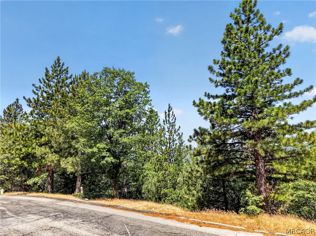 30308 Leprechaun Drive Property Photo 3