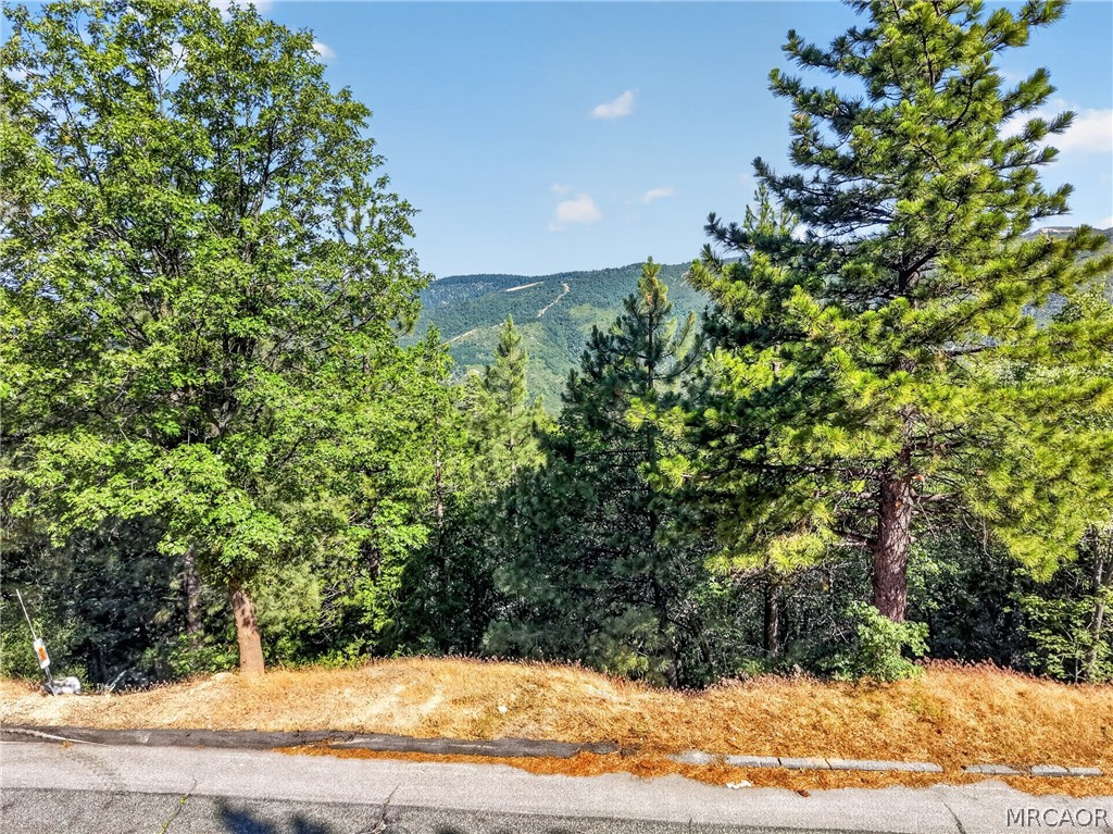 30308 Leprechaun Drive Property Photo 12