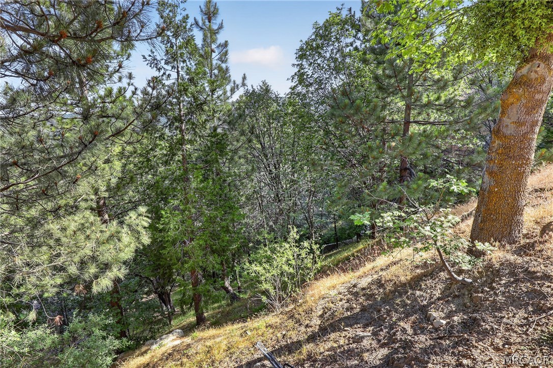 30308 Leprechaun Drive Property Photo 15