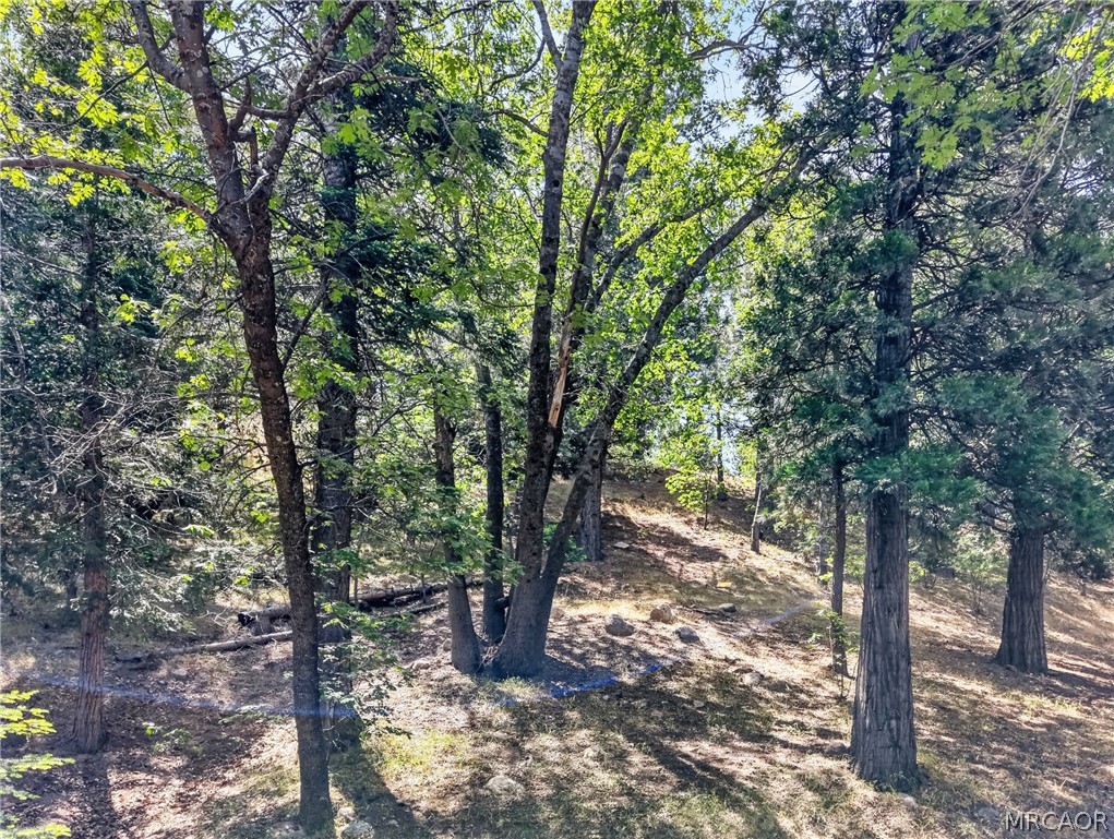 30308 Leprechaun Drive Property Photo 17