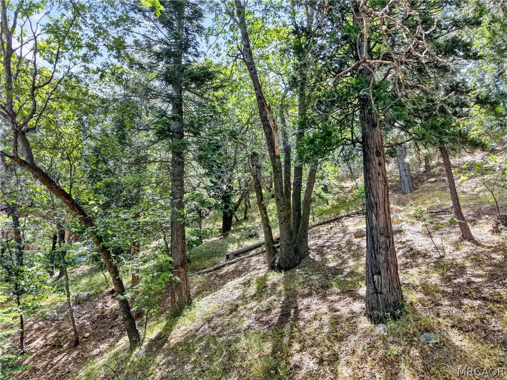 30308 Leprechaun Drive Property Photo 18