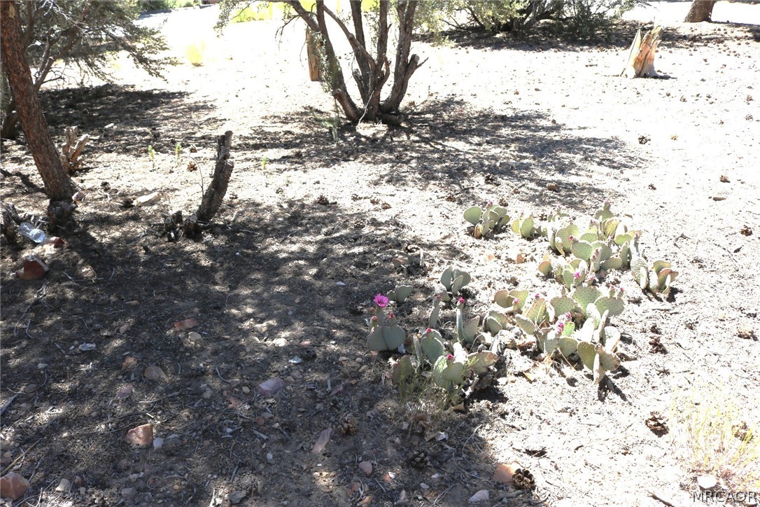 0 Pioneer Lane Property Photo 13