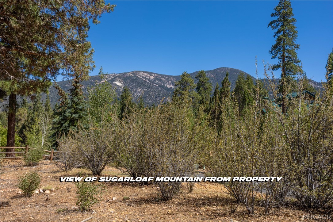 660 Cedar Glen Drive Property Photo 3