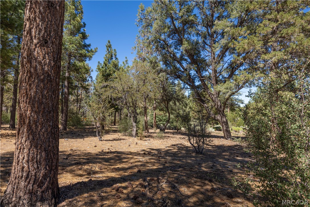 660 Cedar Glen Drive Property Photo 6