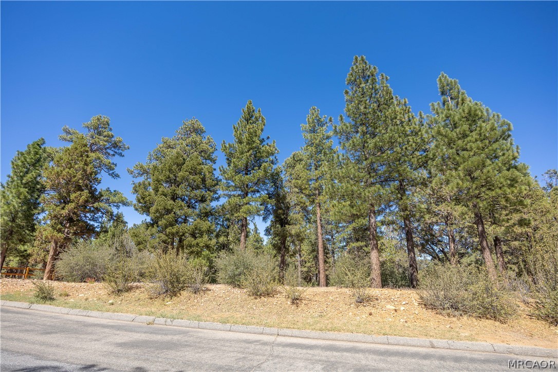660 Cedar Glen Drive Property Photo 10