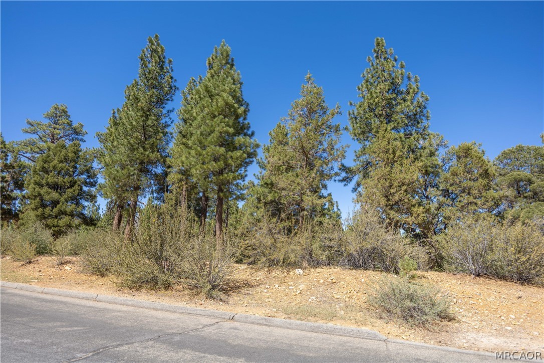 660 Cedar Glen Drive Property Photo 11