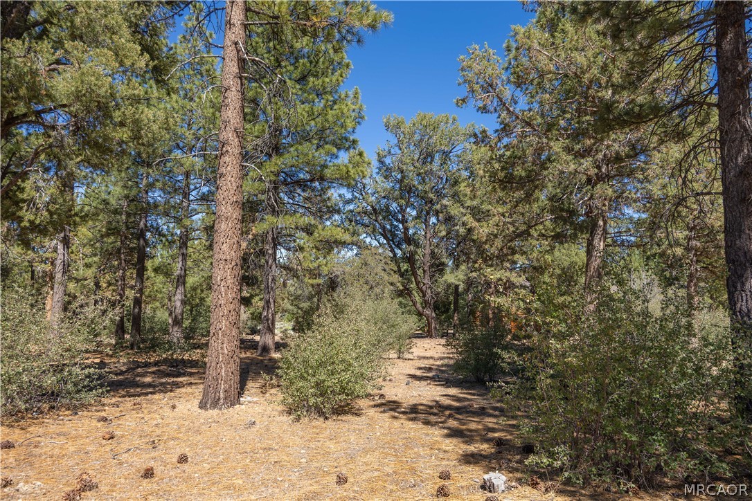 660 Cedar Glen Drive Property Photo 12