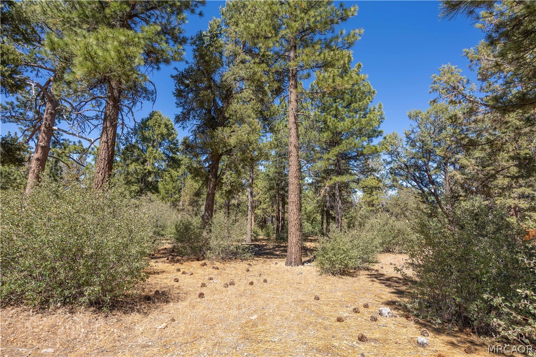 660 Cedar Glen Drive Property Photo 13