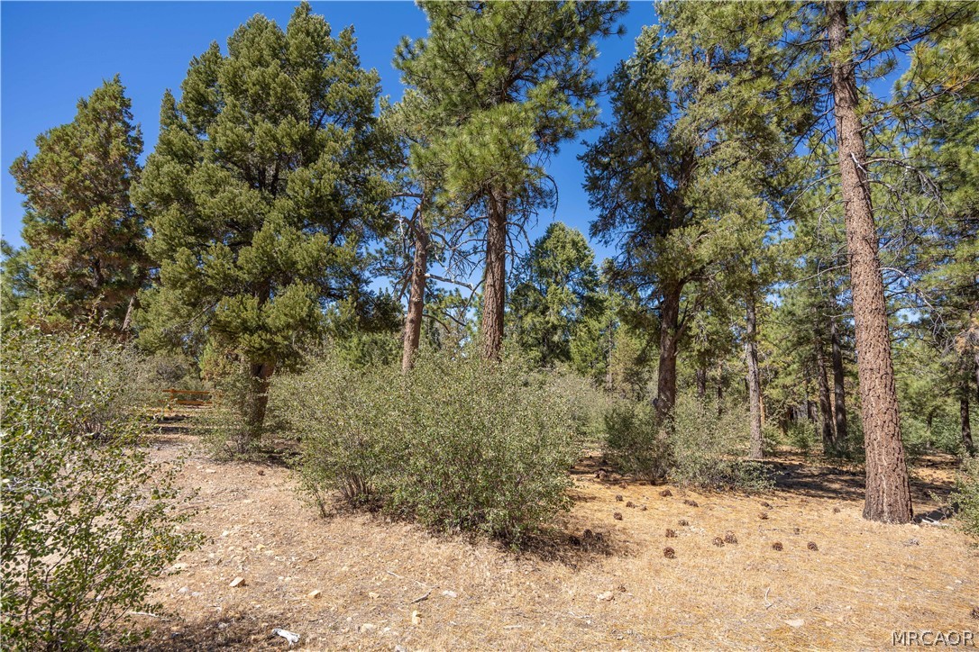 660 Cedar Glen Drive Property Photo 14