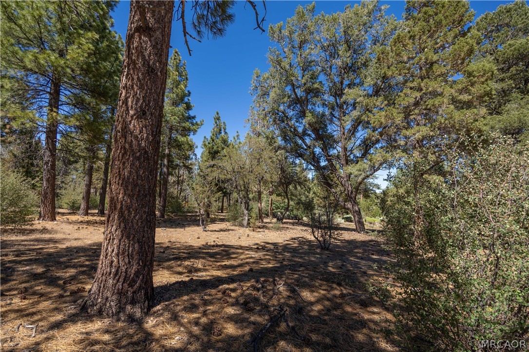 660 Cedar Glen Drive Property Photo 16