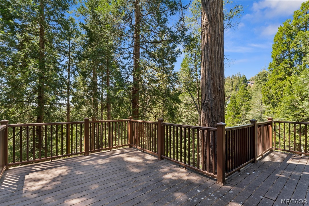 111 Grizzly Road Property Photo 46