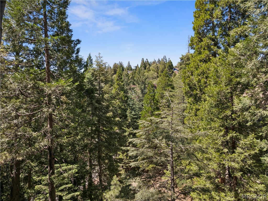 111 Grizzly Road Property Photo 48