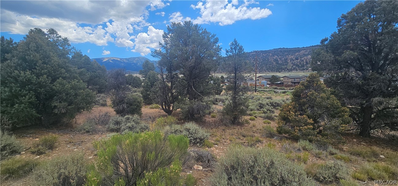 00 Baldwin Lake Road Property Photo 3