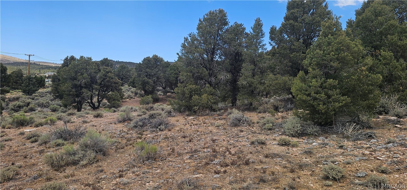 00 Baldwin Lake Road Property Photo 9