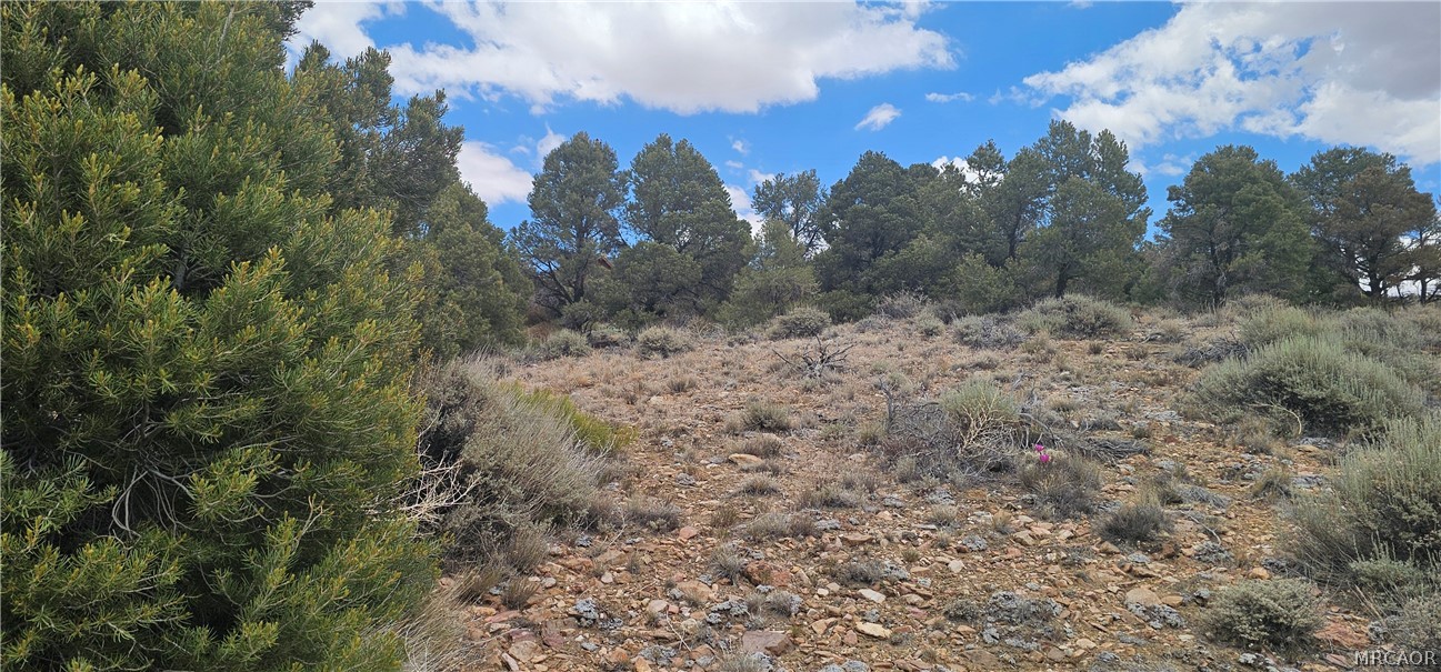 00 Baldwin Lake Road Property Photo 10