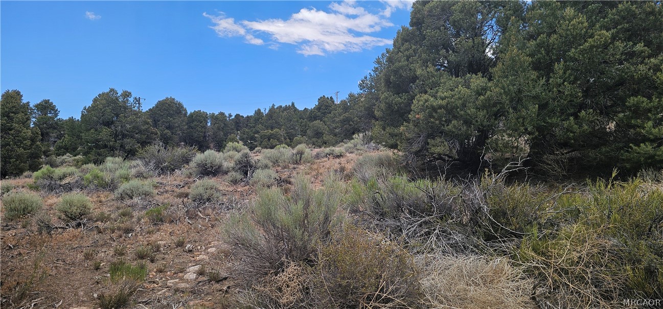 00 Baldwin Lake Road Property Photo 11