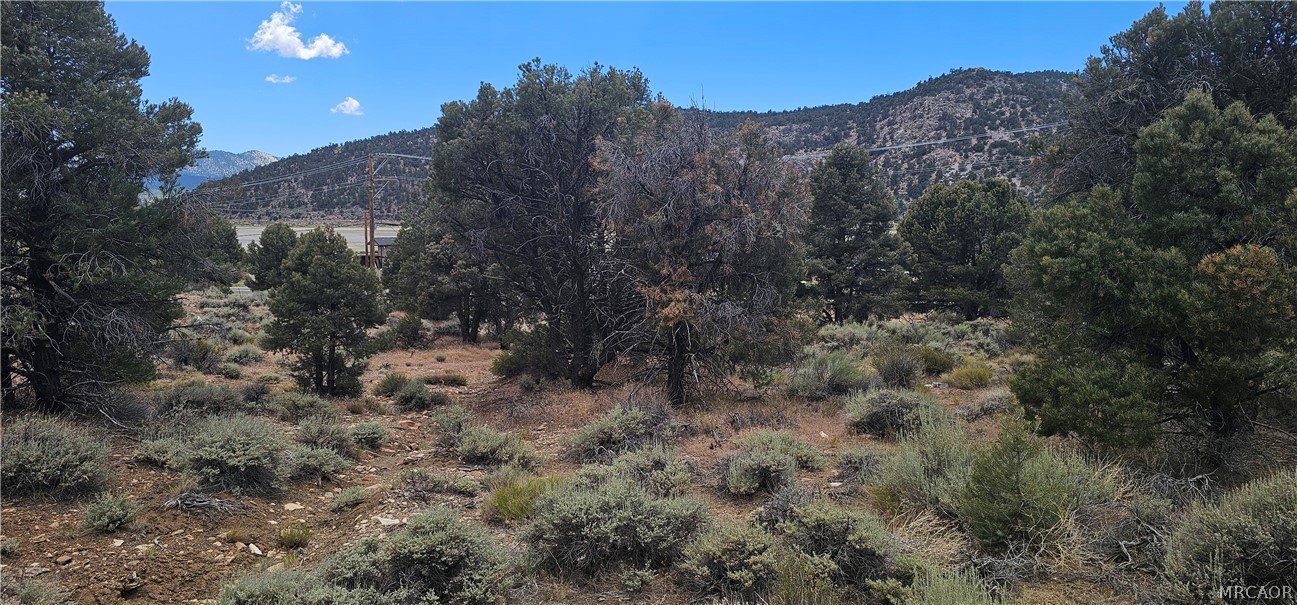 00 Baldwin Lake Road Property Photo 13