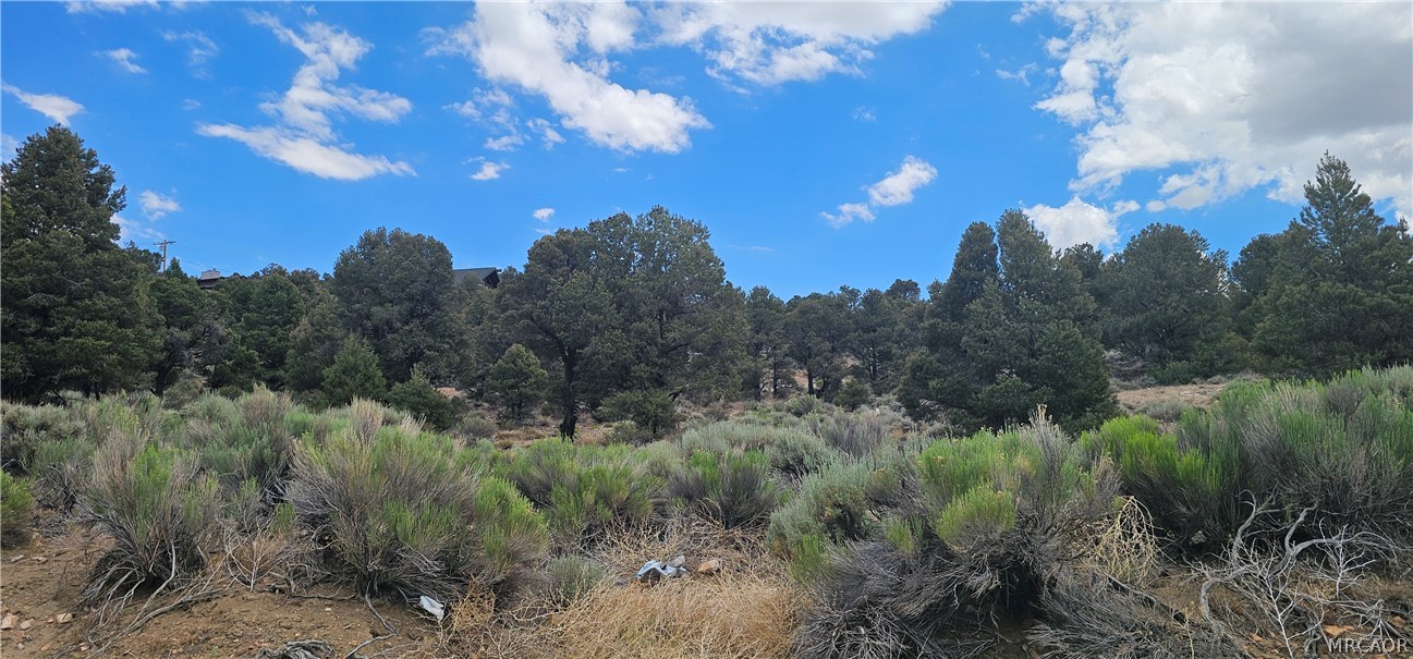 00 Baldwin Lake Road Property Photo 14