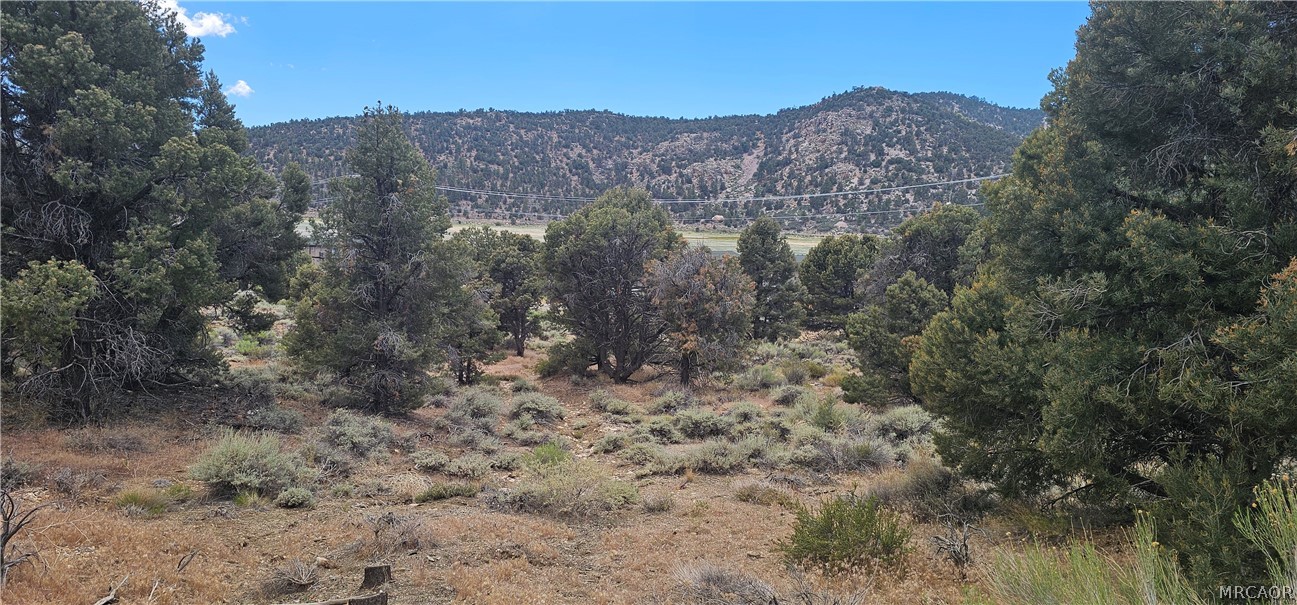 00 Baldwin Lake Road Property Photo 15