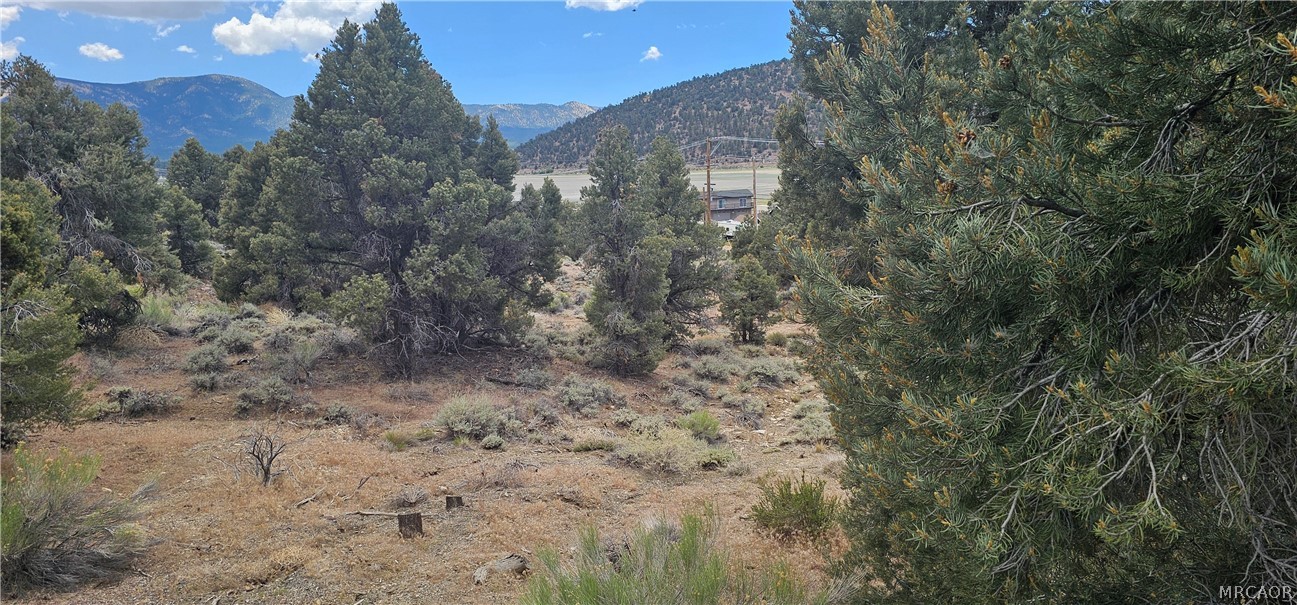00 Baldwin Lake Road Property Photo 16