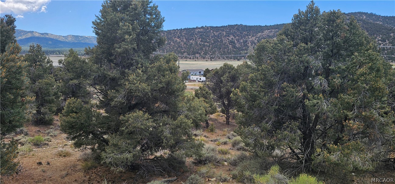 00 Baldwin Lake Road Property Photo 18