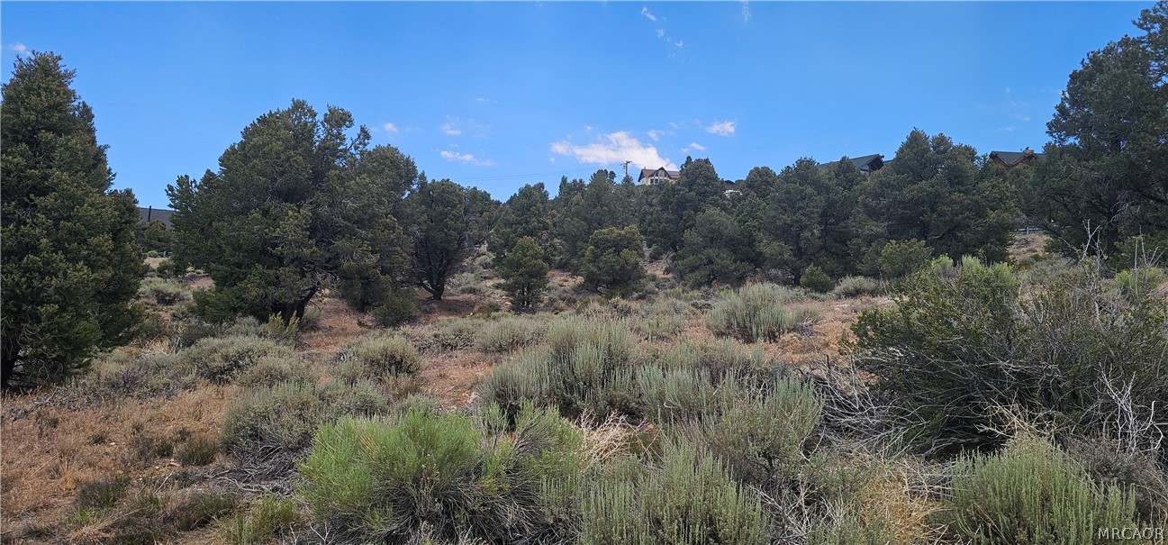 00 Baldwin Lake Road Property Photo 19