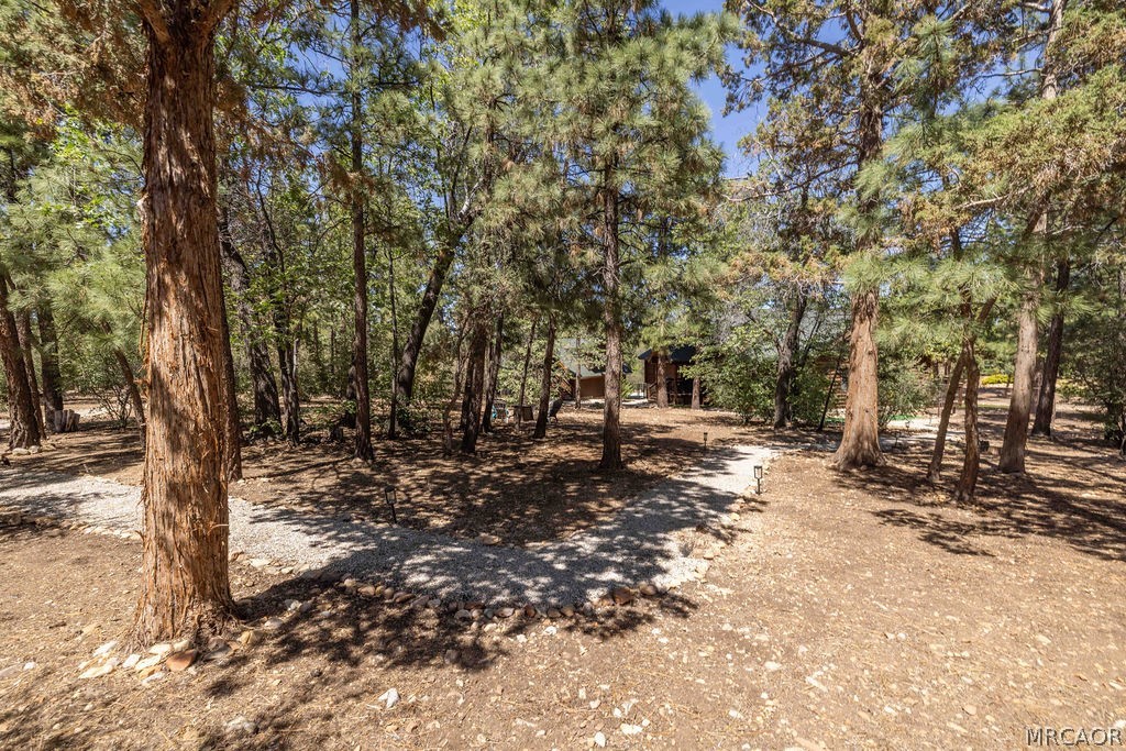 643 Cedar Glen Drive Property Photo 55