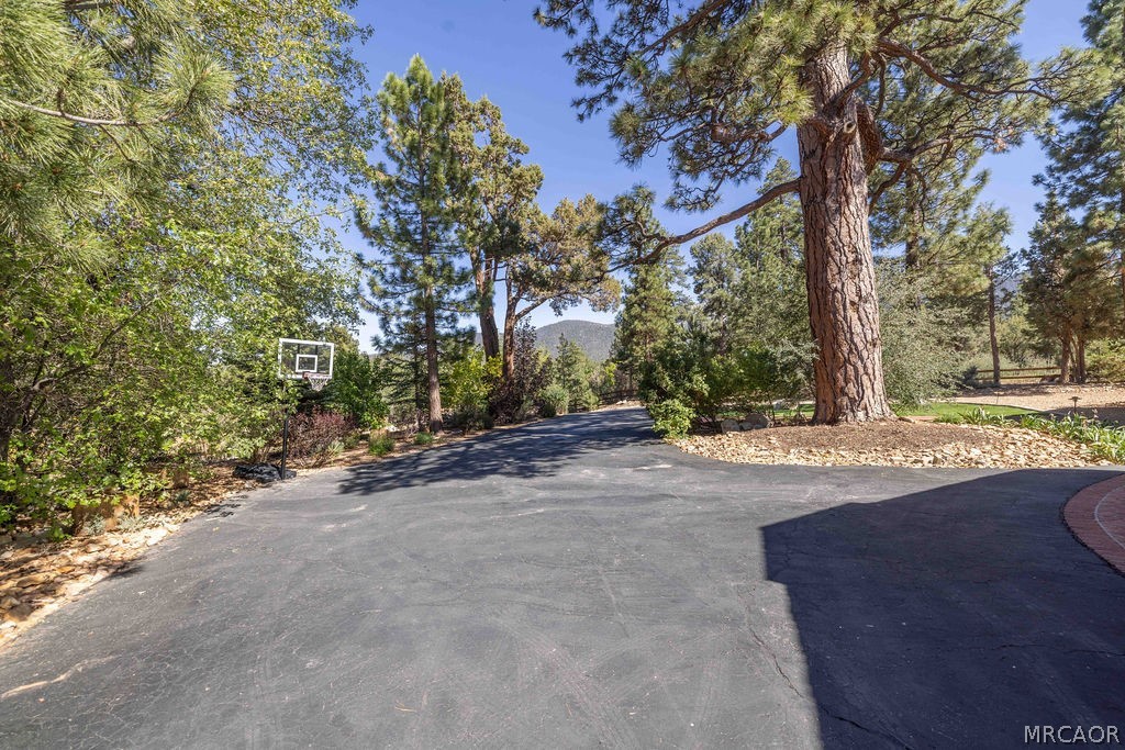 661 Cedar Glen Drive Property Photo 6