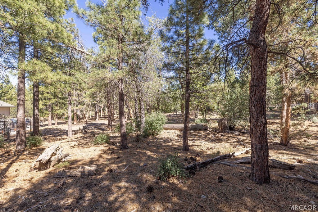 655 Cedar Glen Drive Property Photo 6