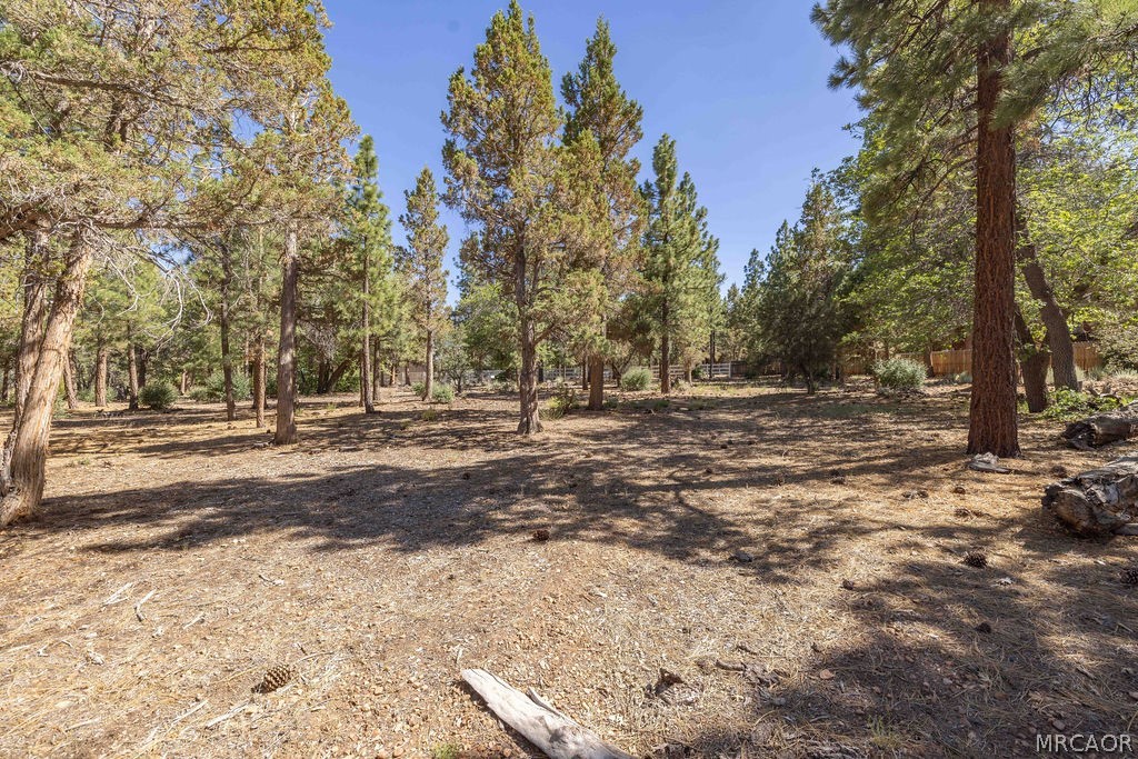 655 Cedar Glen Drive Property Photo 7