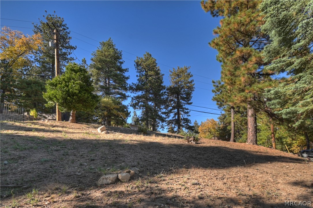 31162 All View Drive Property Photo 5