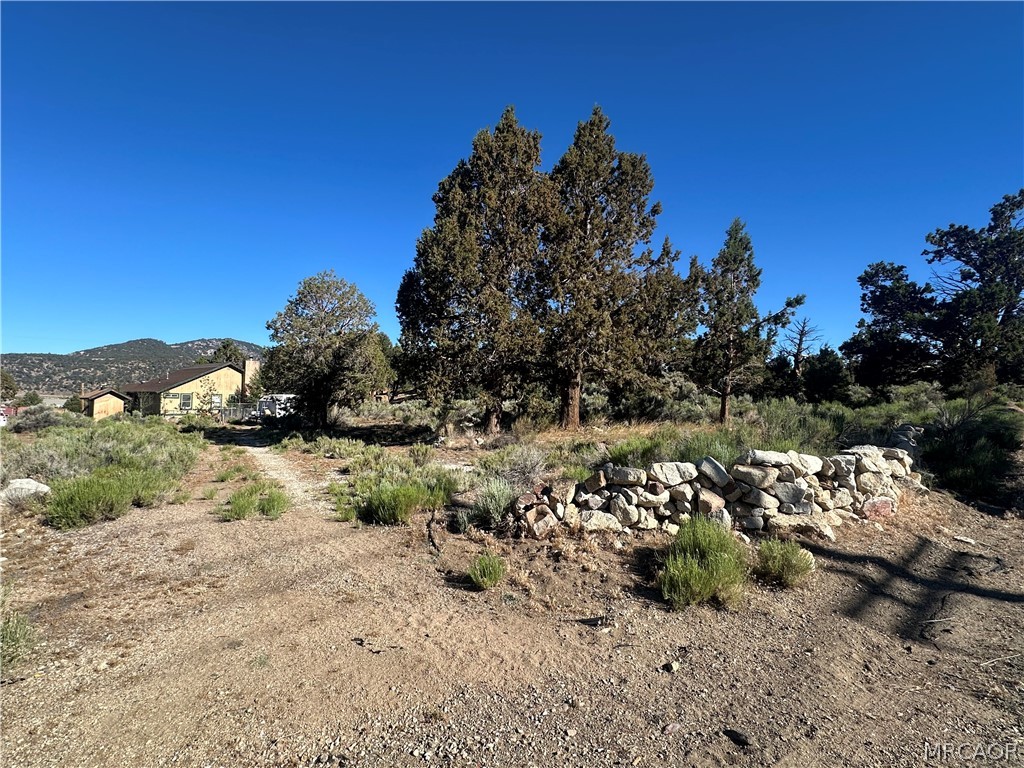 0 Baldwin Lake Road Property Photo 4