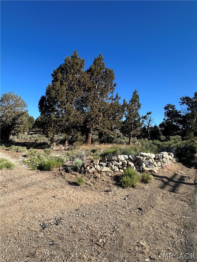0 Baldwin Lake Road Property Photo 8
