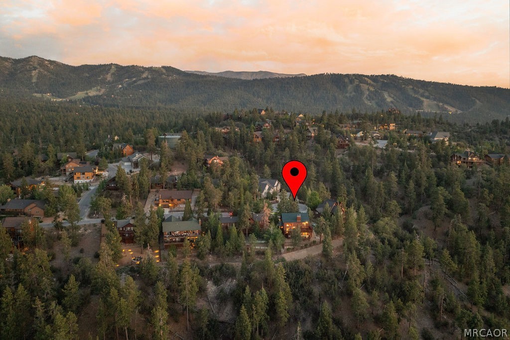 42668 Timberline Trail Property Photo 9