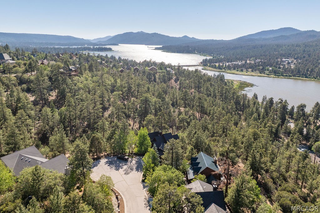 42668 Timberline Trail Property Photo 11