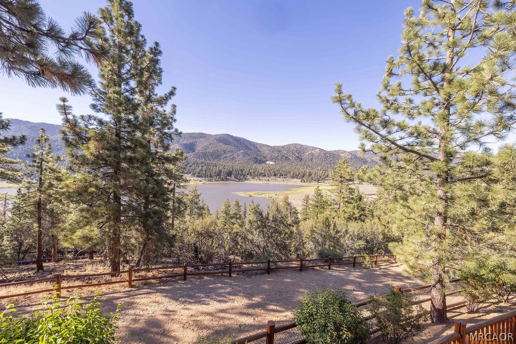 42668 Timberline Trail Property Photo 19