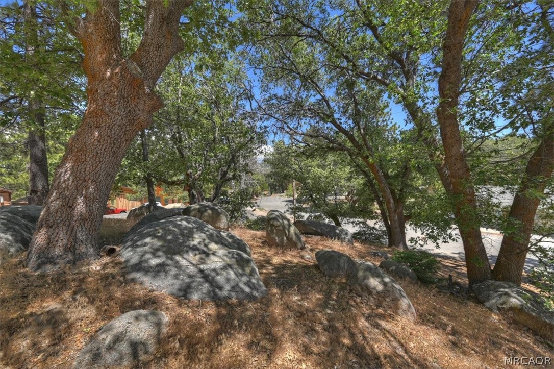 572 Dahlia Drive Property Photo 31