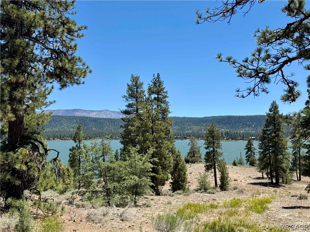 39737 Flicker Road Property Photo 3
