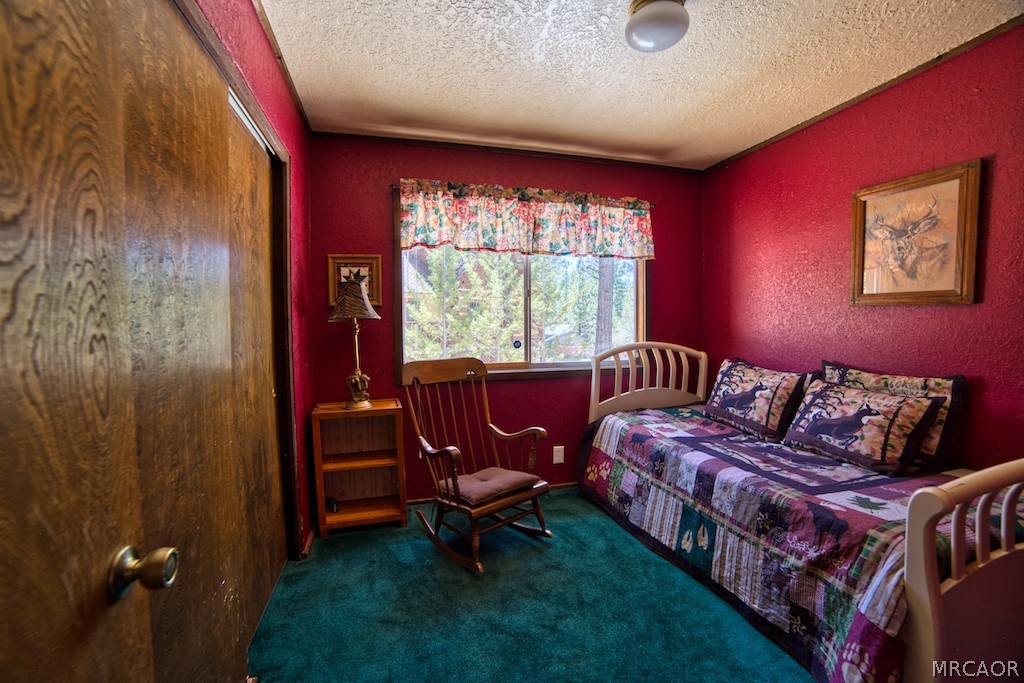489 Hillen Dale Drive Property Photo 27