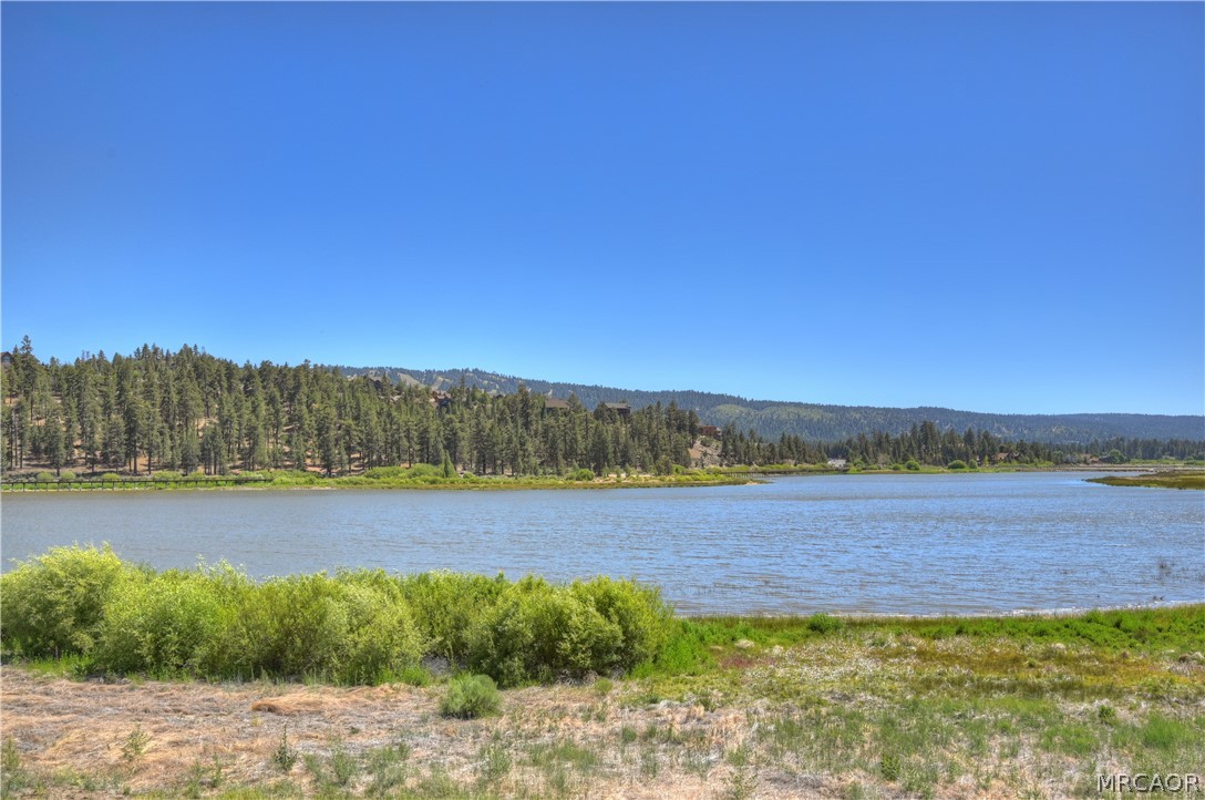 42413 Bear Loop Property Photo 53