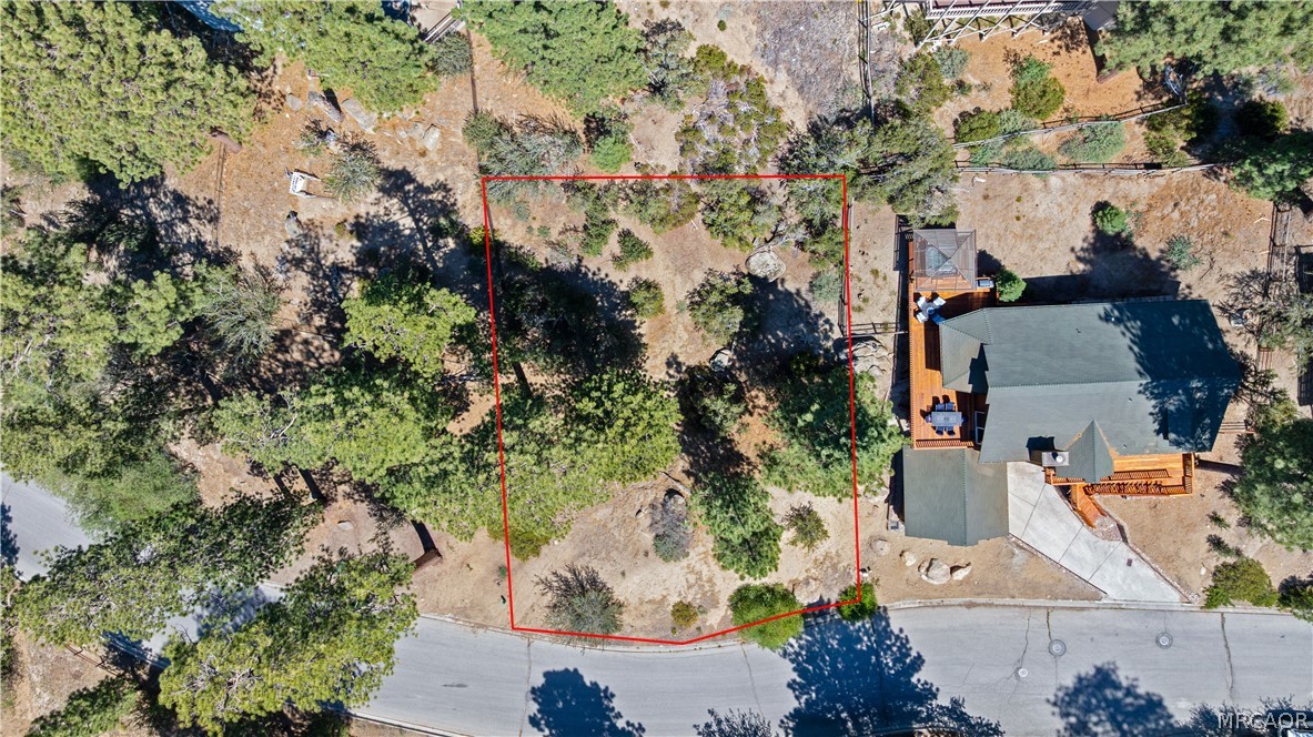 0 Paine Road Property Photo 6