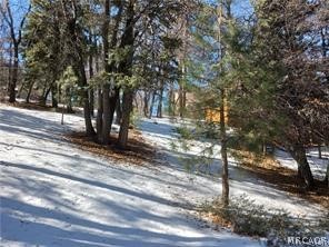 0 Columbine Drive Property Photo 2