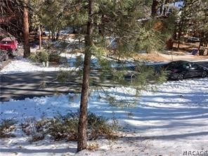 0 Columbine Drive Property Photo 6