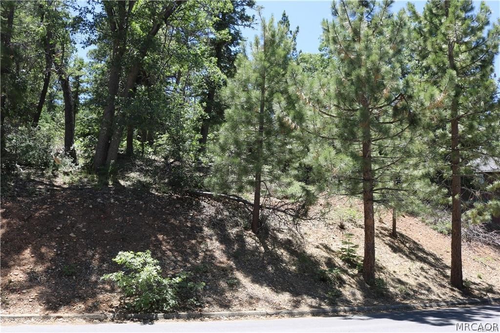 1375 La Crescenta Drive Property Photo 3